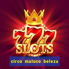 circo maluco beleza recife circo maluco